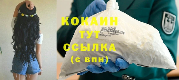 сатива Михайловка