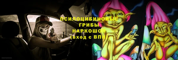 сатива Михайловка
