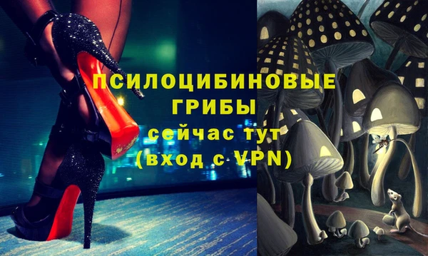 крисы Михайловск