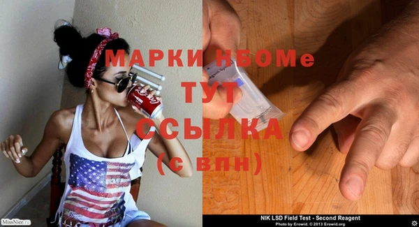 крисы Михайловск