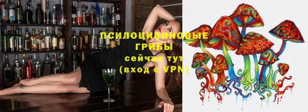 сатива Михайловка