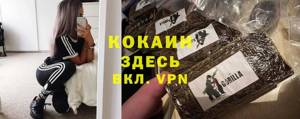 сатива Михайловка