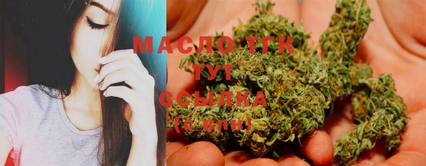 сатива Михайловка