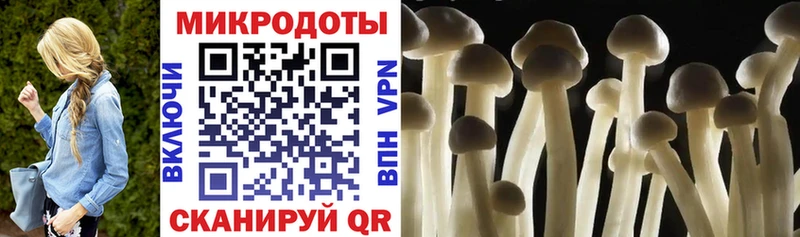 Псилоцибиновые грибы прущие грибы  закладки  Палласовка 